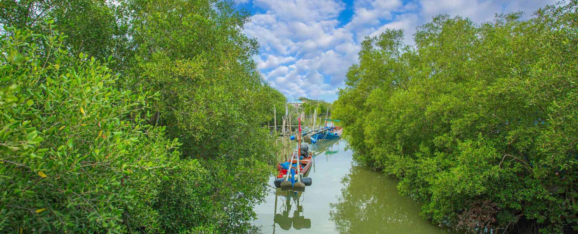 Can Gio Island Day Trip - Discovery Vam Sat EcoPark Cycling to Vam Sat EcoPark, Enjoy views of Can Gio Forest on canoeing through the forest