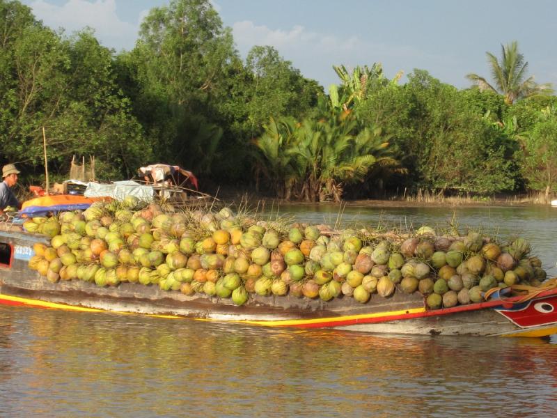 Travel to Ben Tre homestay