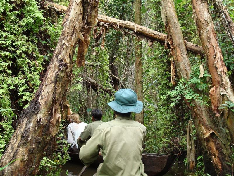 Xeo Quyt forest - Viet Cong base